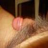foto do perfil tomtomtom
